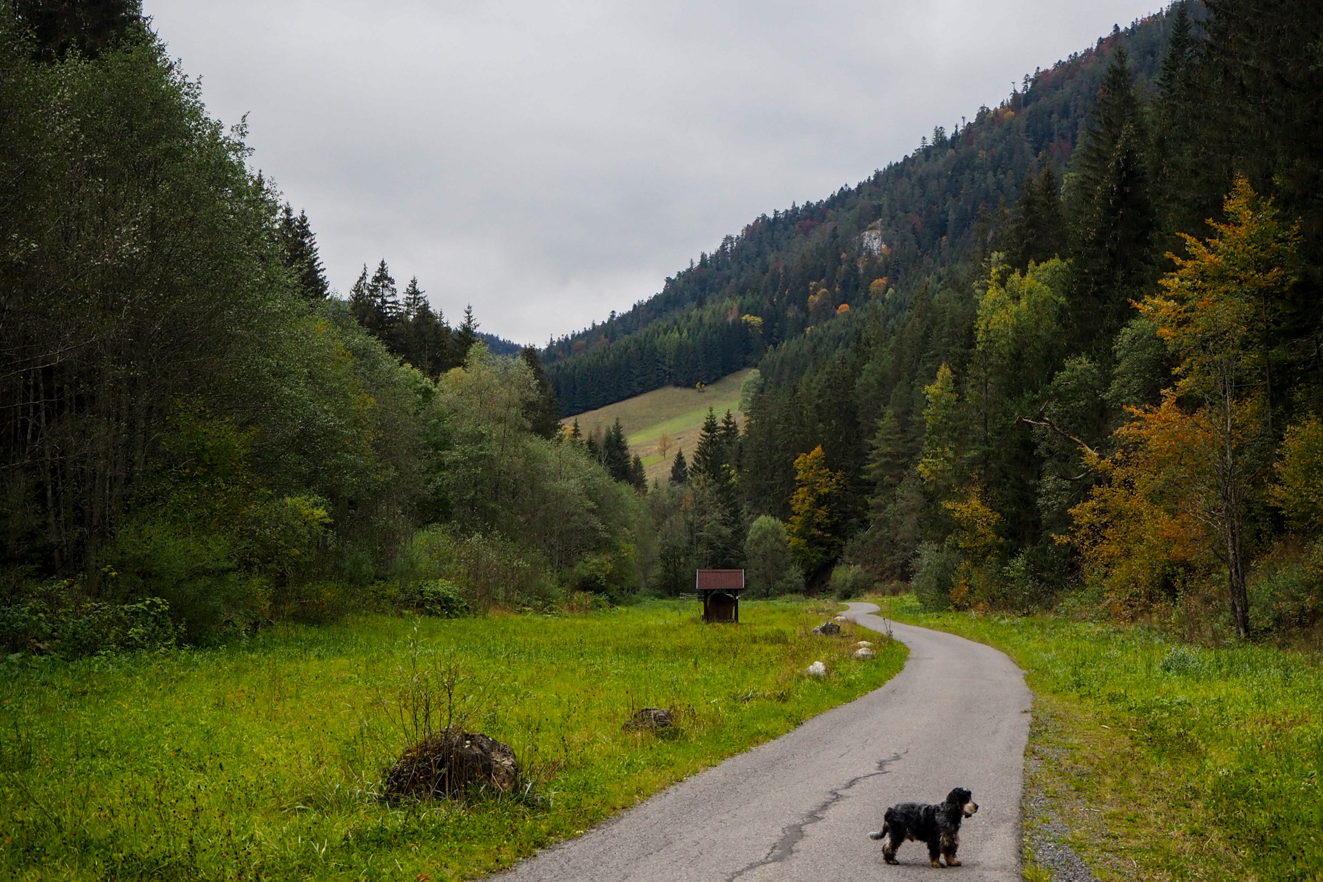 Veľký Bok z Malužinej (Nízke Tatry)