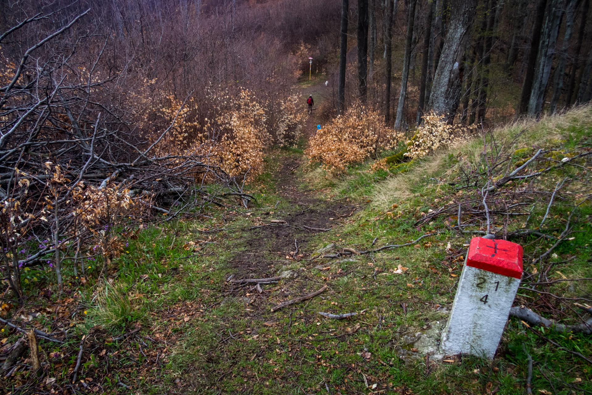 Veľký Milič a Skárošská vyhliadka z László tanya (Slanské vrchy)