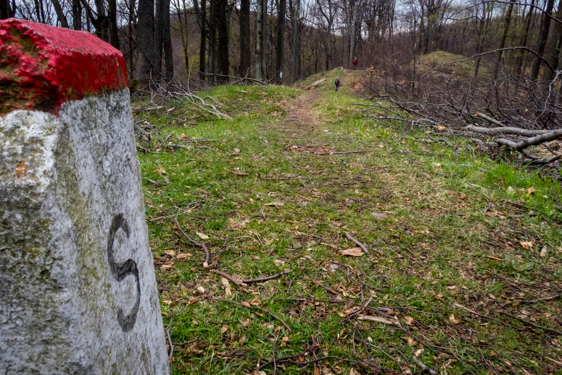 Veľký Milič a Skárošská vyhliadka z László tanya (Slanské vrchy)