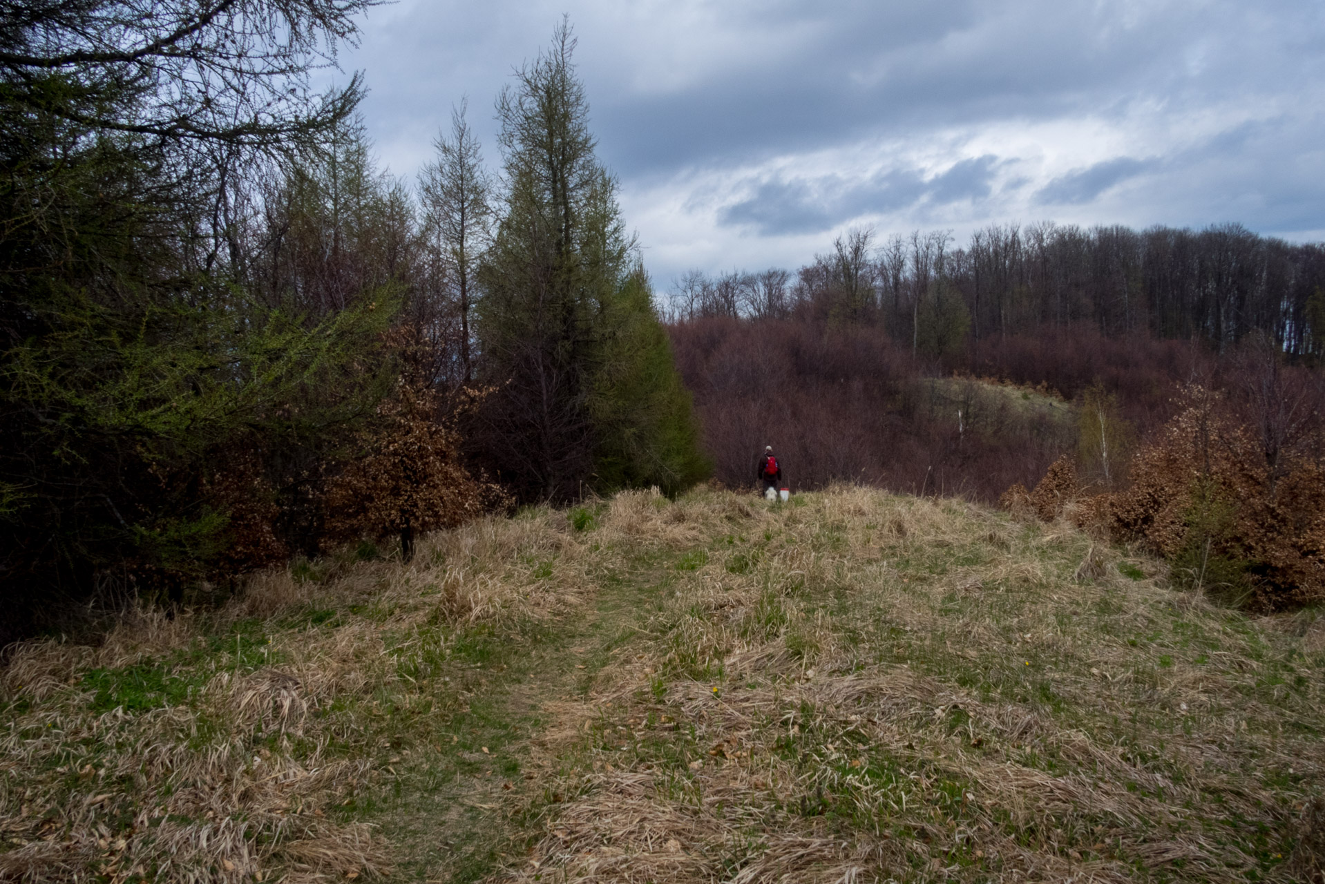 Veľký Milič a Skárošská vyhliadka z László tanya (Slanské vrchy)