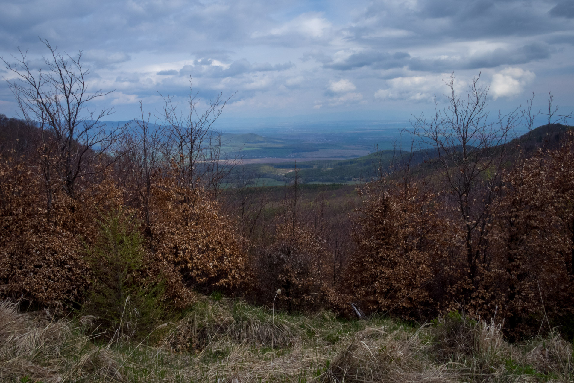 Veľký Milič a Skárošská vyhliadka z László tanya (Slanské vrchy)