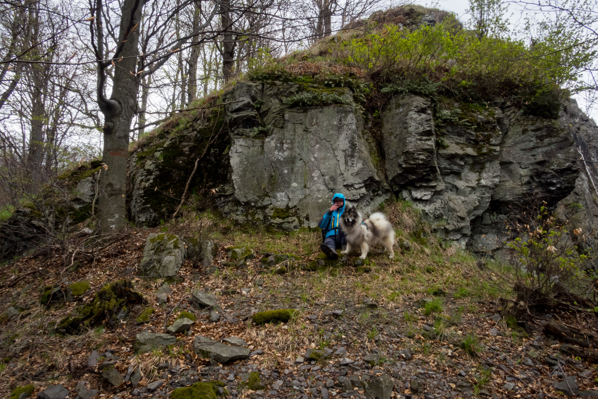 Veľký Milič a Skárošská vyhliadka z László tanya (Slanské vrchy)