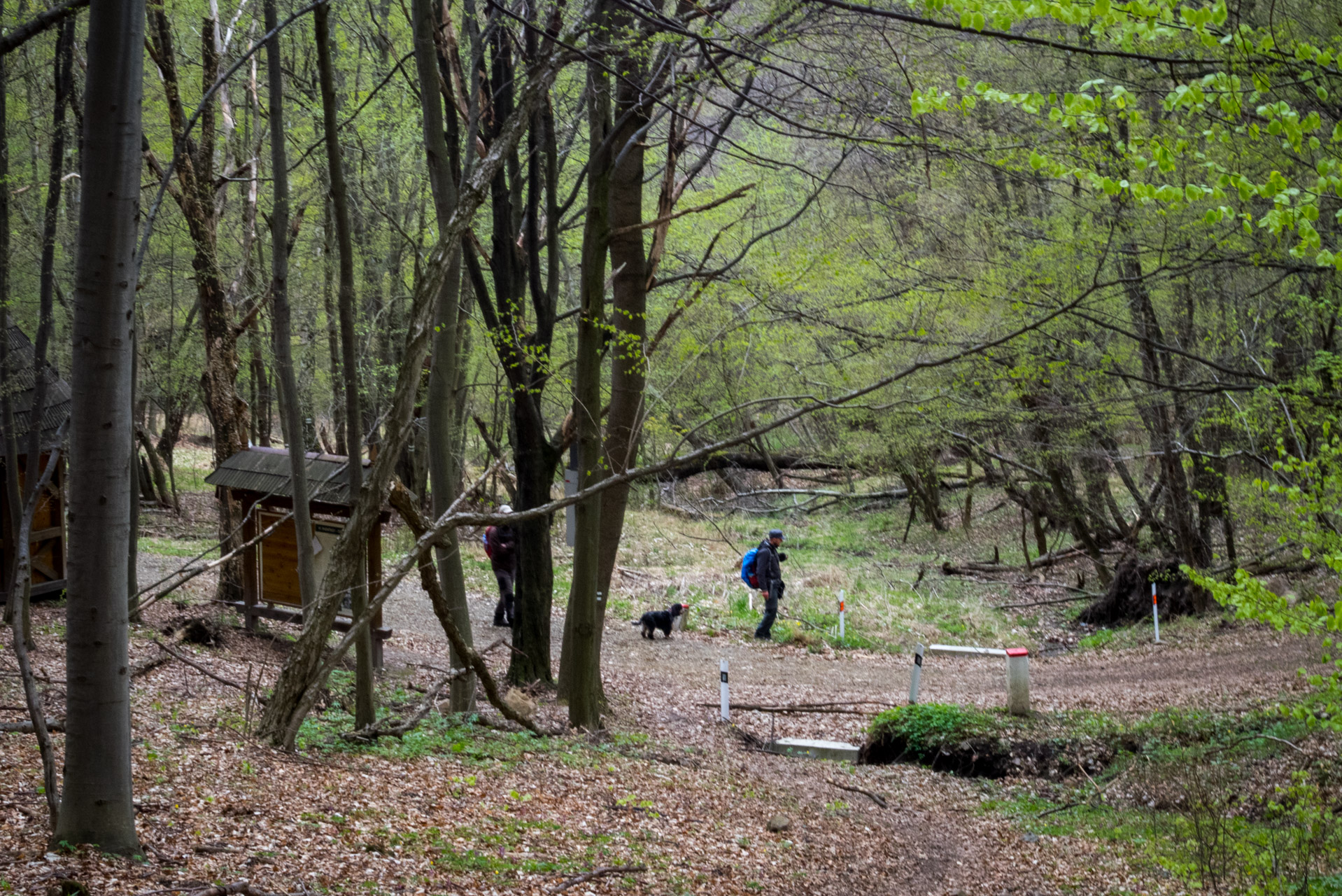 Veľký Milič a Skárošská vyhliadka z László tanya (Slanské vrchy)