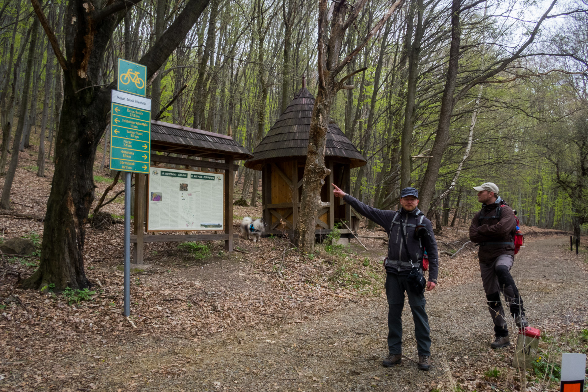 Veľký Milič a Skárošská vyhliadka z László tanya (Slanské vrchy)