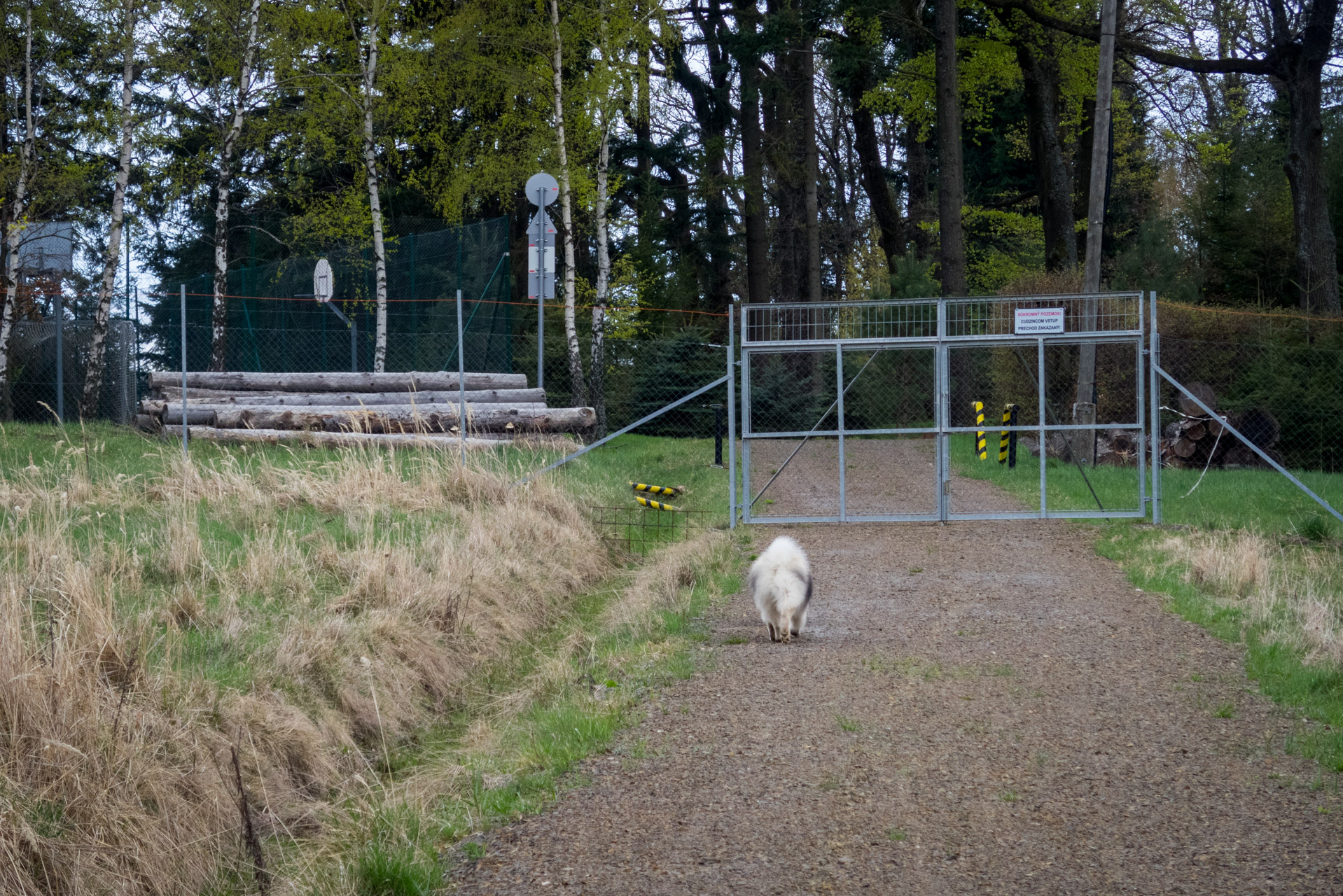 Veľký Milič a Skárošská vyhliadka z László tanya (Slanské vrchy)