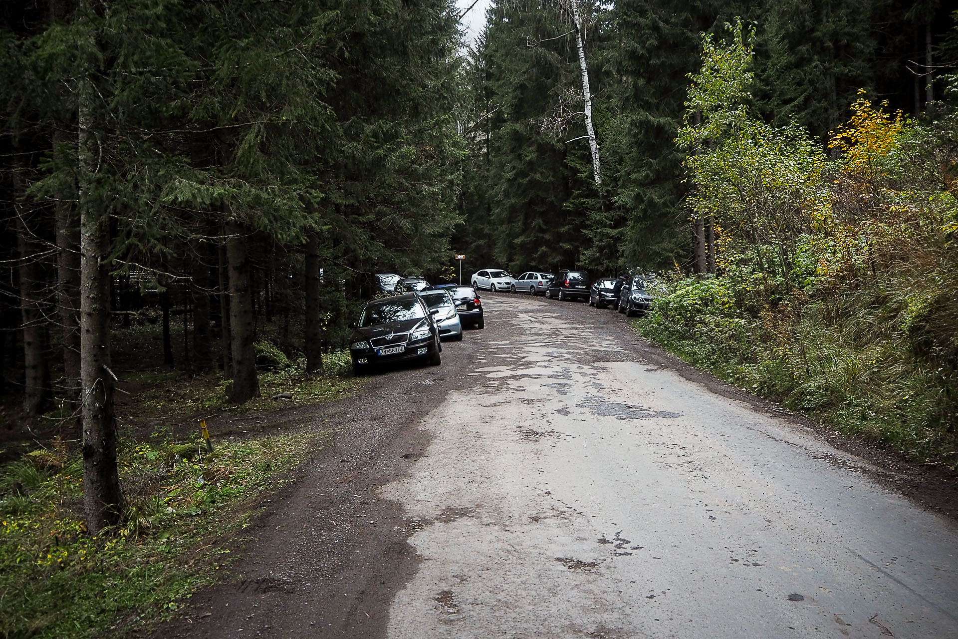 Volovec z Račkovej doliny, ATC (Západné Tatry)