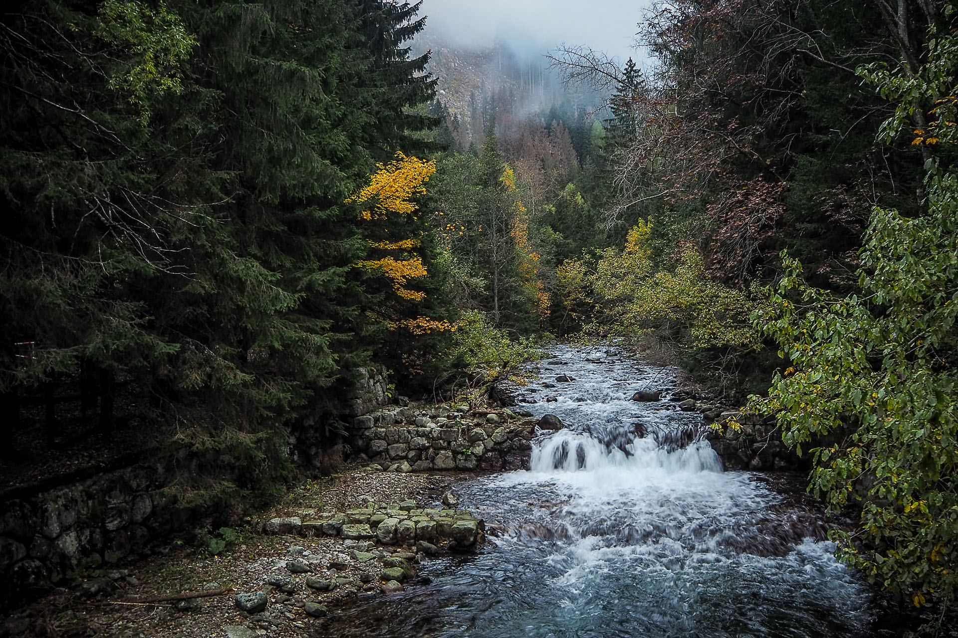 Volovec z Račkovej doliny, ATC (Západné Tatry)