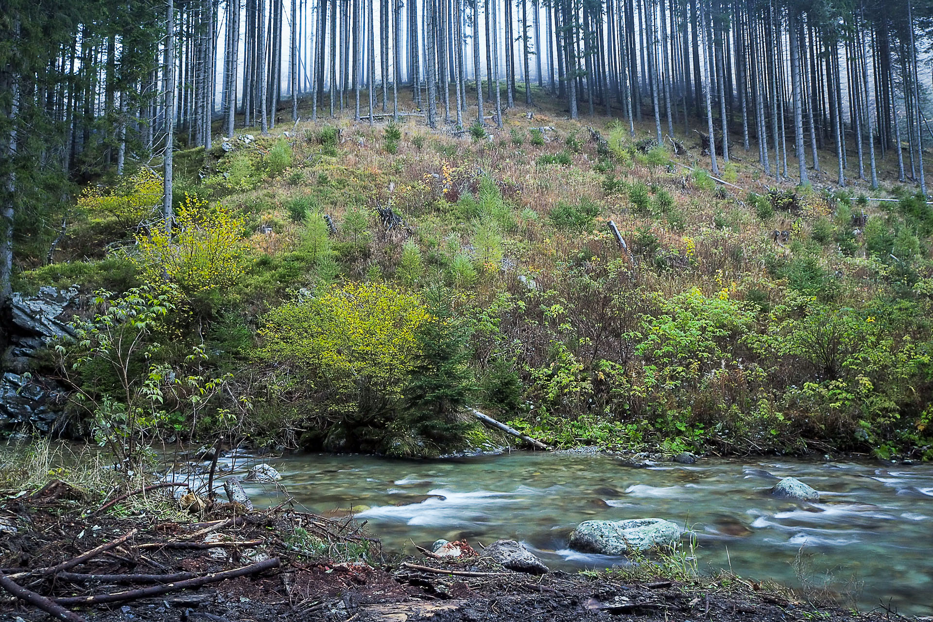 Volovec z Račkovej doliny, ATC (Západné Tatry)