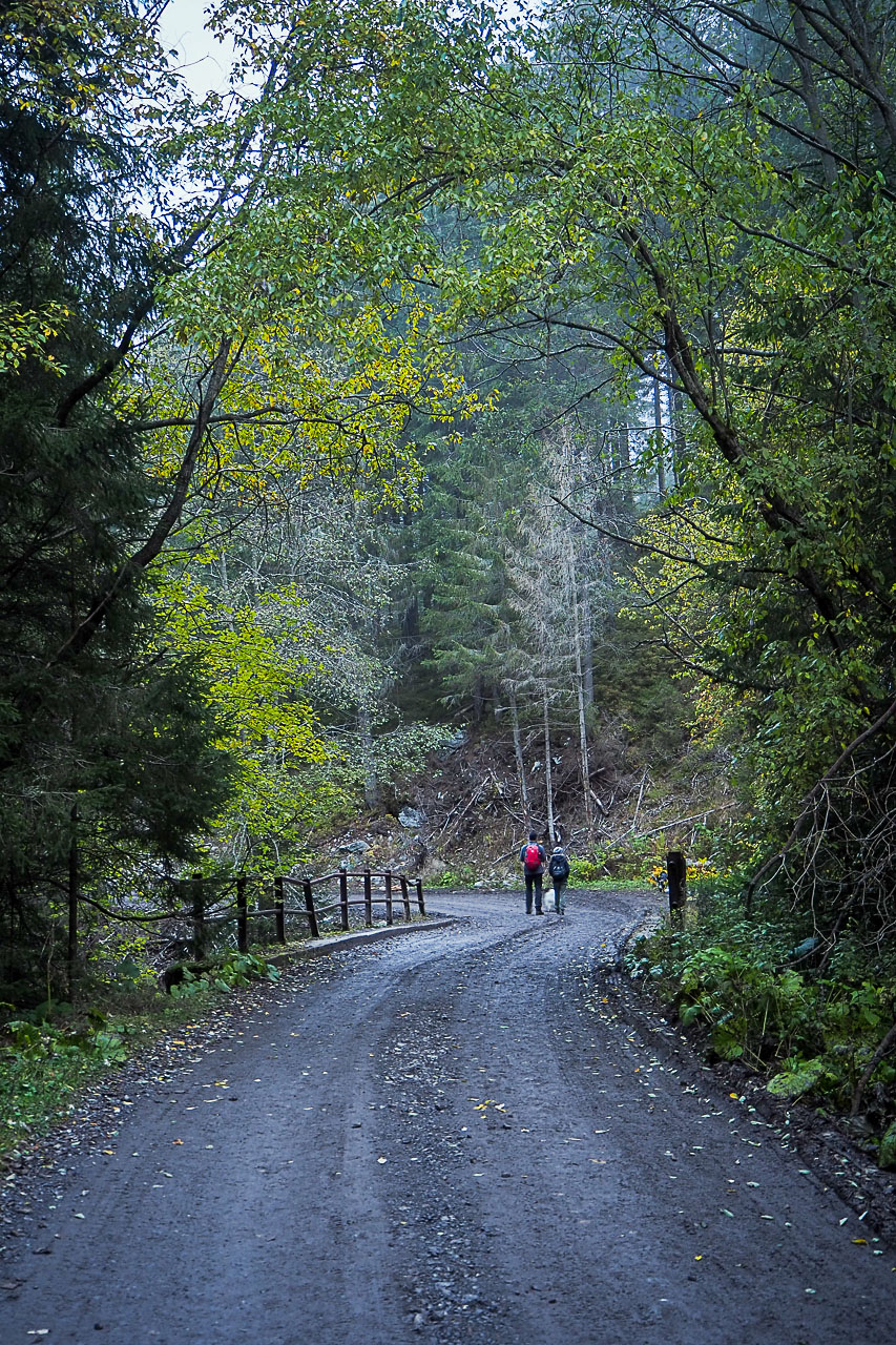 Volovec z Račkovej doliny, ATC (Západné Tatry)