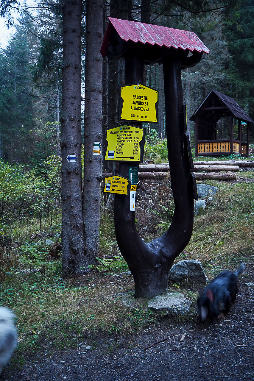 Volovec z Račkovej doliny, ATC (Západné Tatry)