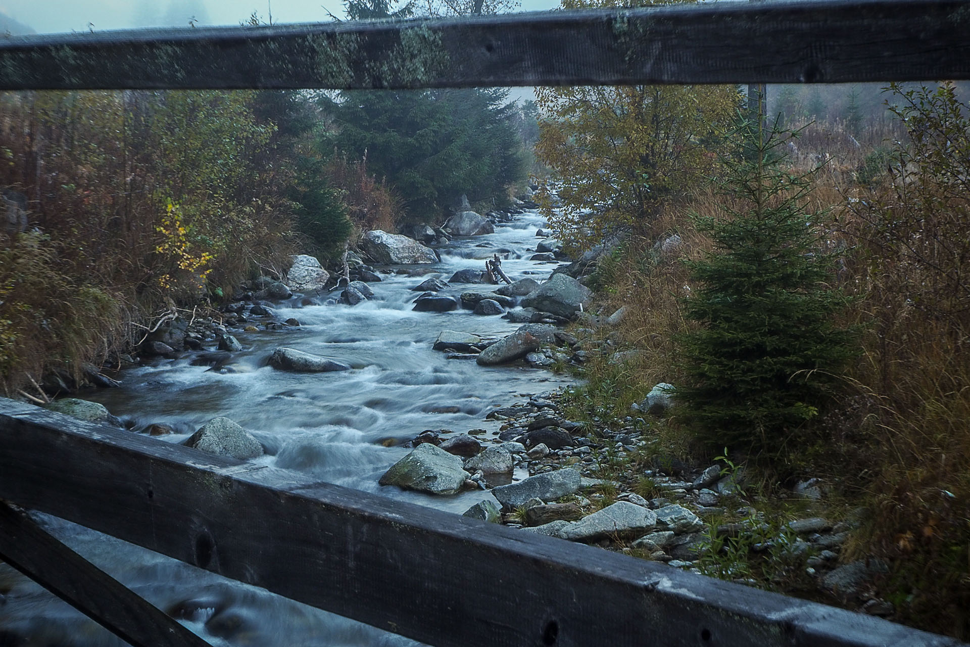 Volovec z Račkovej doliny, ATC (Západné Tatry)