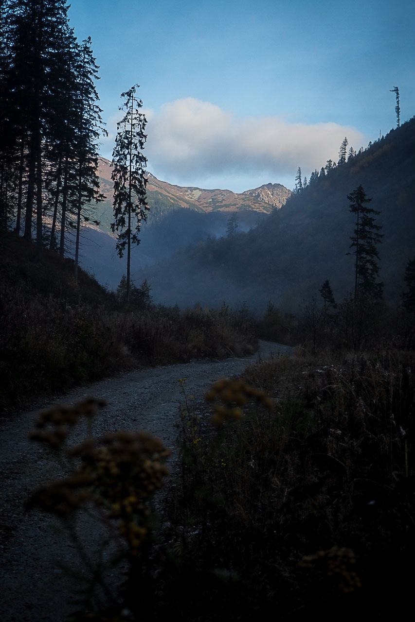 Volovec z Račkovej doliny, ATC (Západné Tatry)