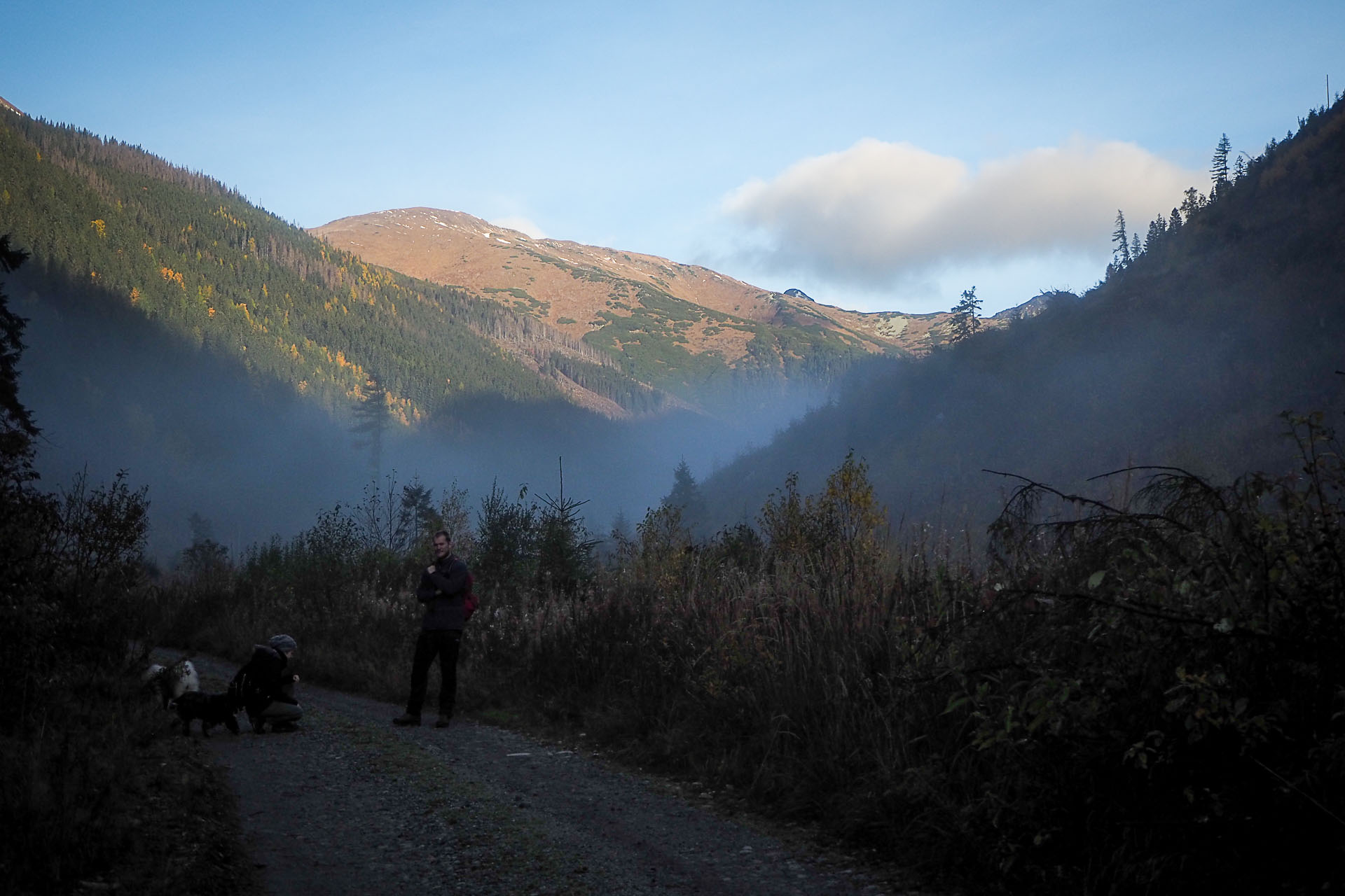 Volovec z Račkovej doliny, ATC (Západné Tatry)