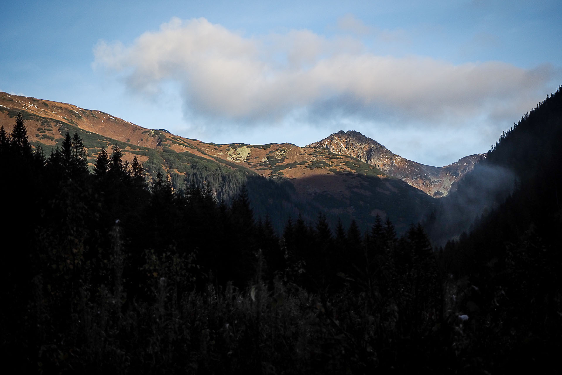 Volovec z Račkovej doliny, ATC (Západné Tatry)