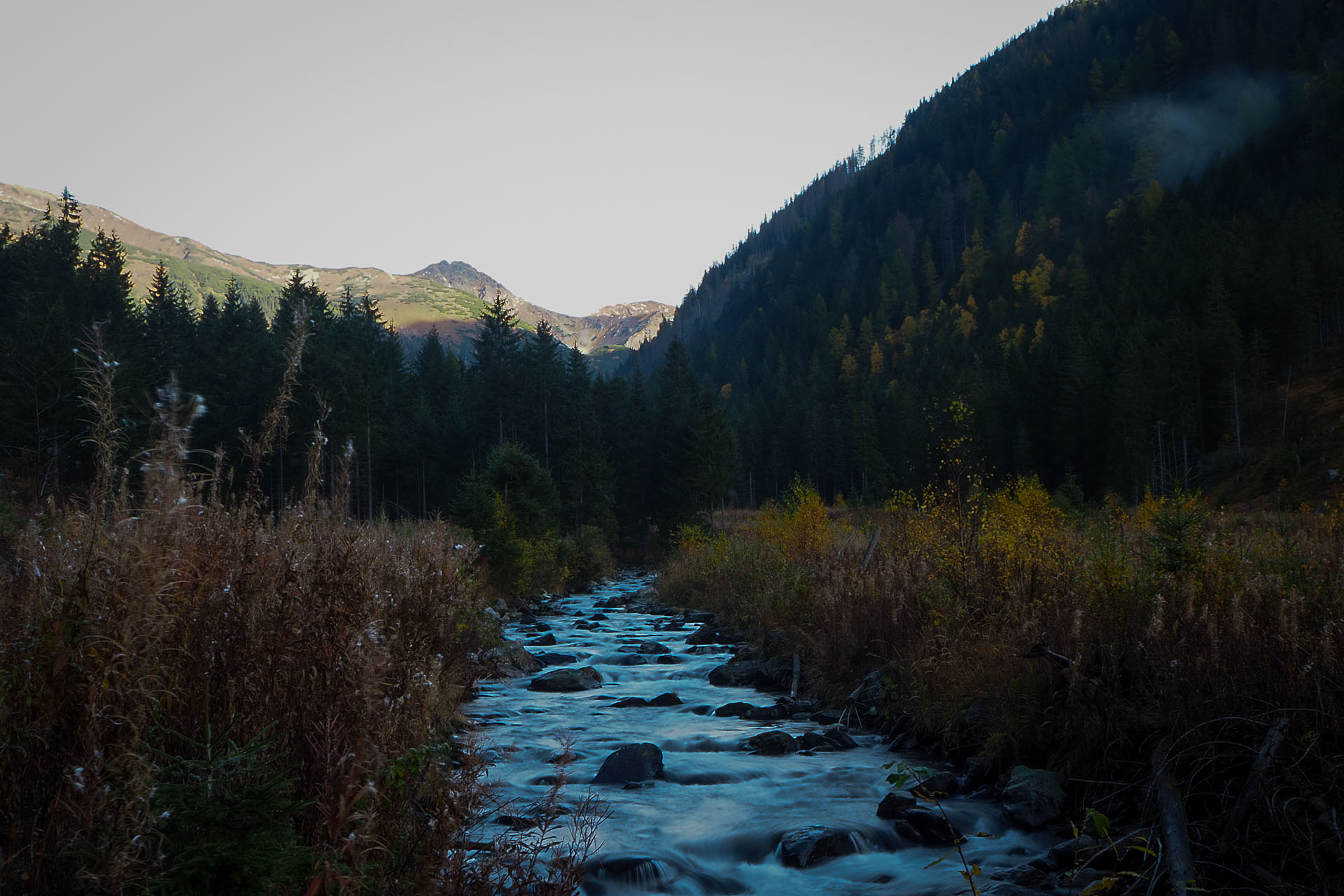 Volovec z Račkovej doliny, ATC (Západné Tatry)