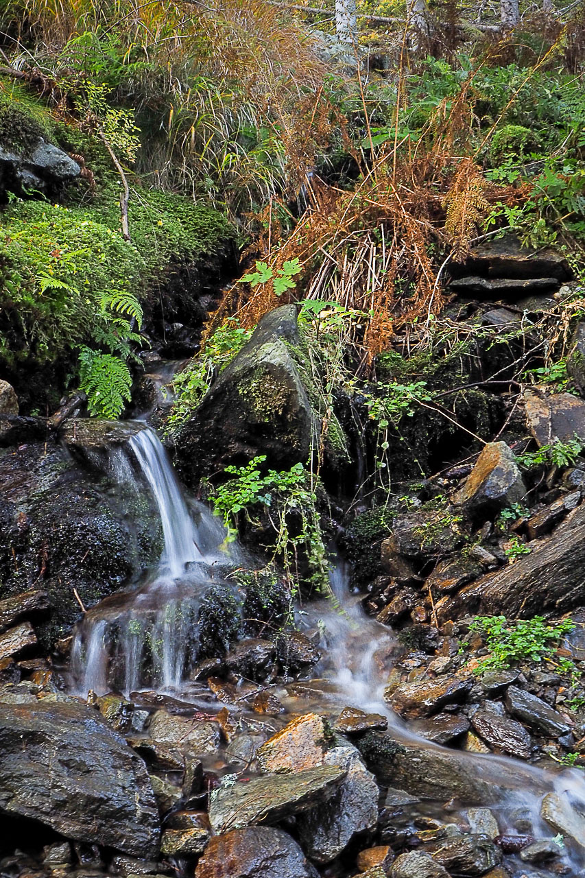 Volovec z Račkovej doliny, ATC (Západné Tatry)