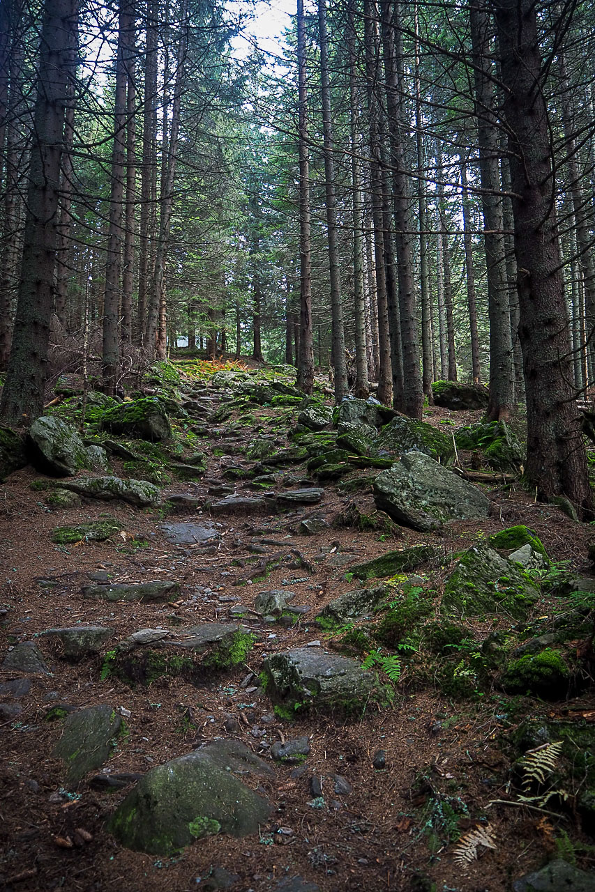 Volovec z Račkovej doliny, ATC (Západné Tatry)