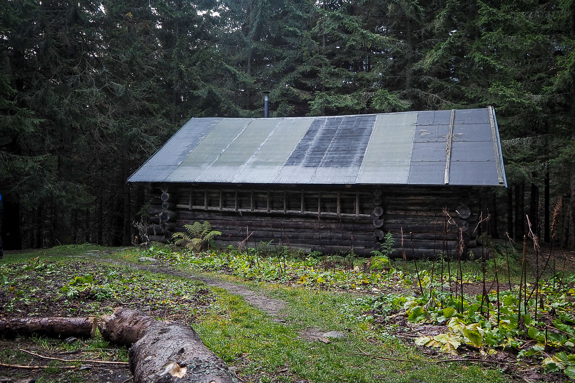 Volovec z Račkovej doliny, ATC (Západné Tatry)