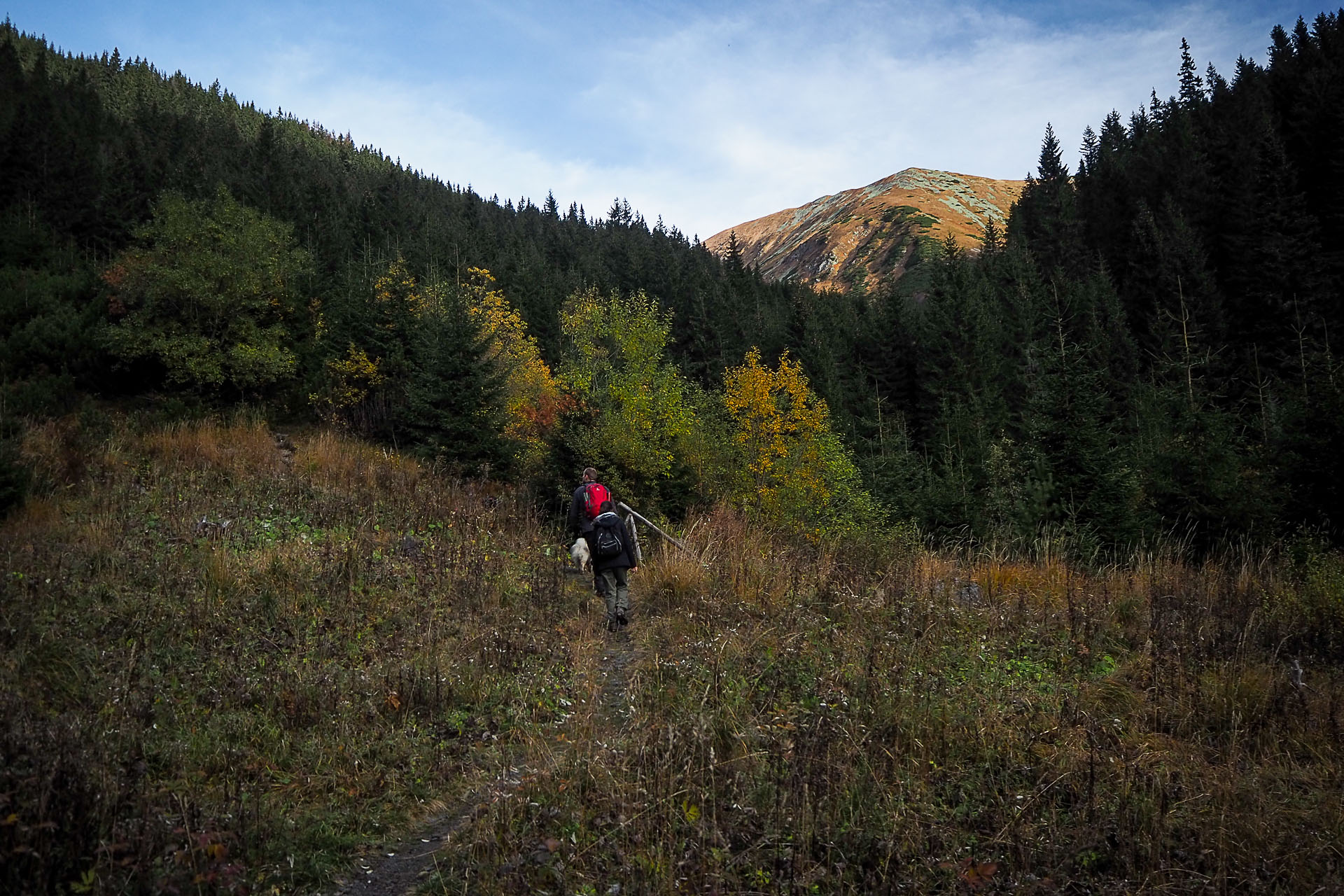 Volovec z Račkovej doliny, ATC (Západné Tatry)