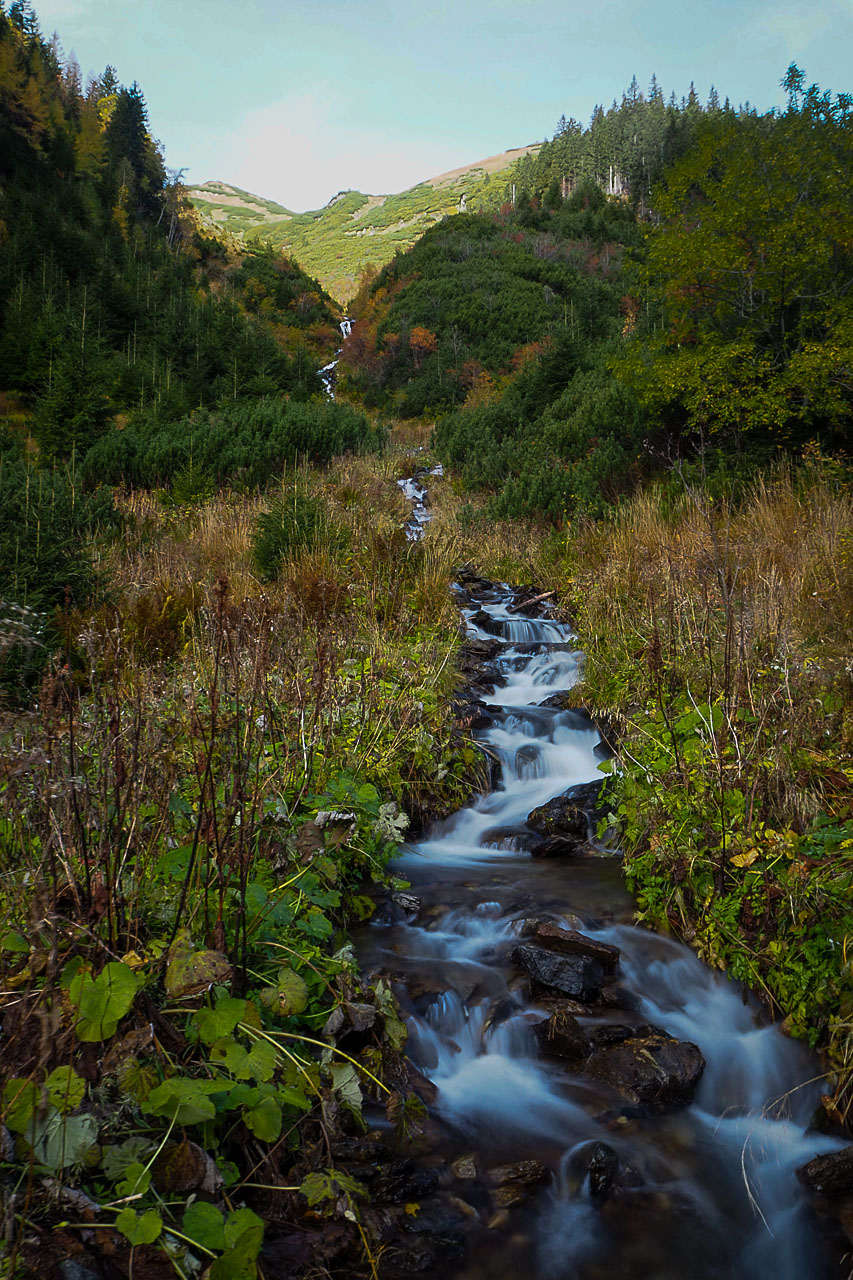 Volovec z Račkovej doliny, ATC (Západné Tatry)