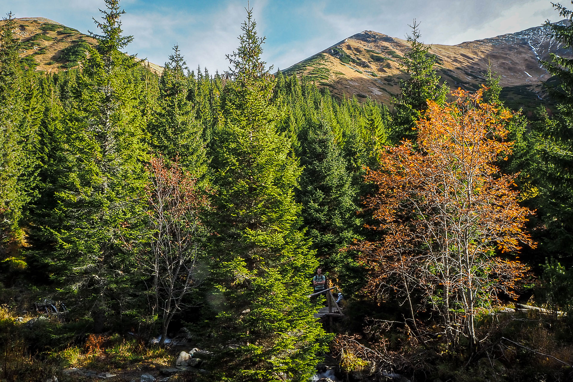 Volovec z Račkovej doliny, ATC (Západné Tatry)