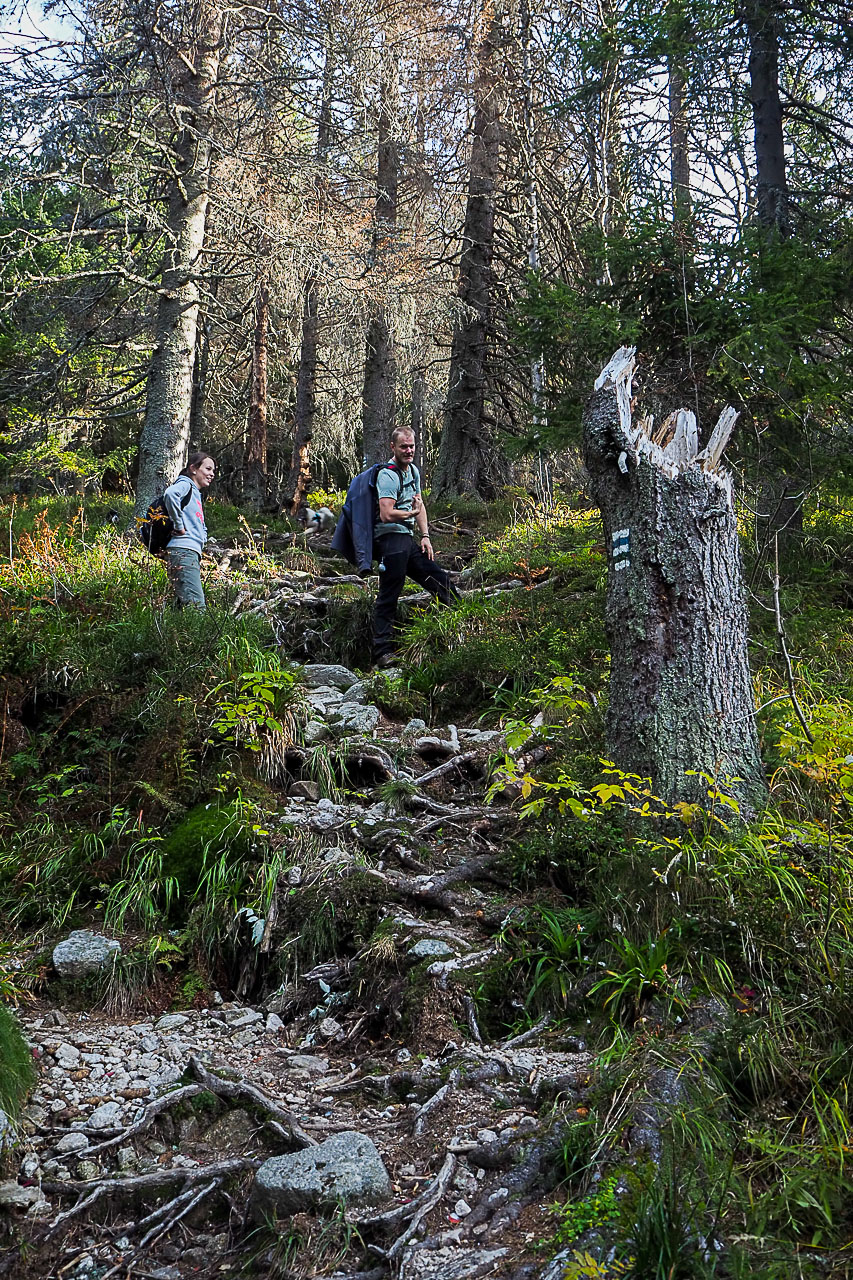 Volovec z Račkovej doliny, ATC (Západné Tatry)