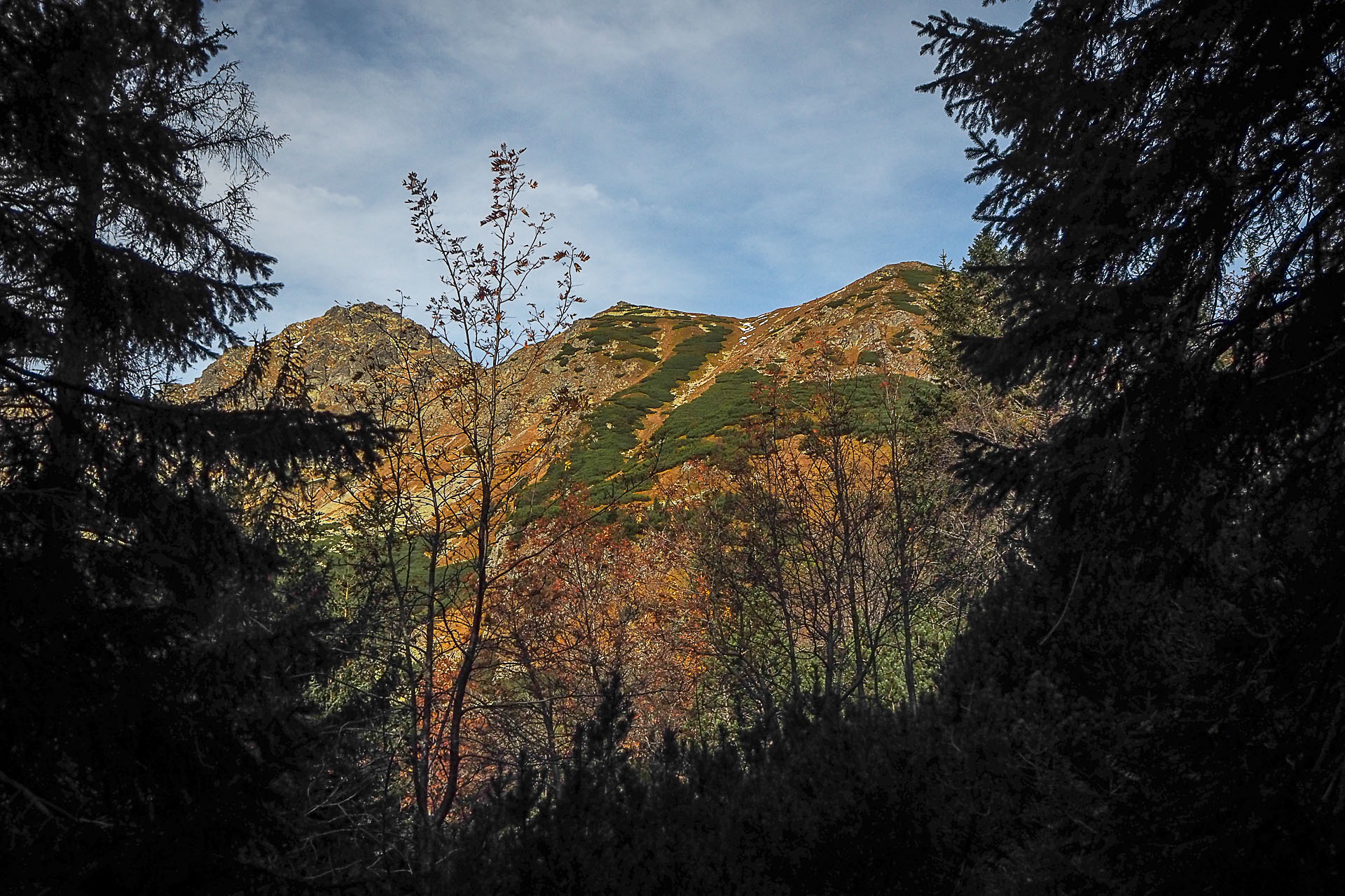 Volovec z Račkovej doliny, ATC (Západné Tatry)