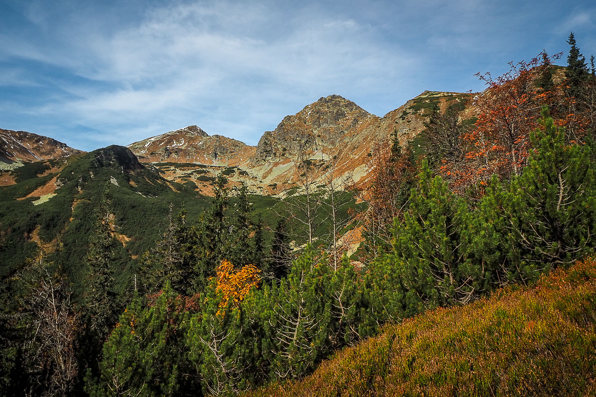 Volovec z Račkovej doliny, ATC (Západné Tatry)