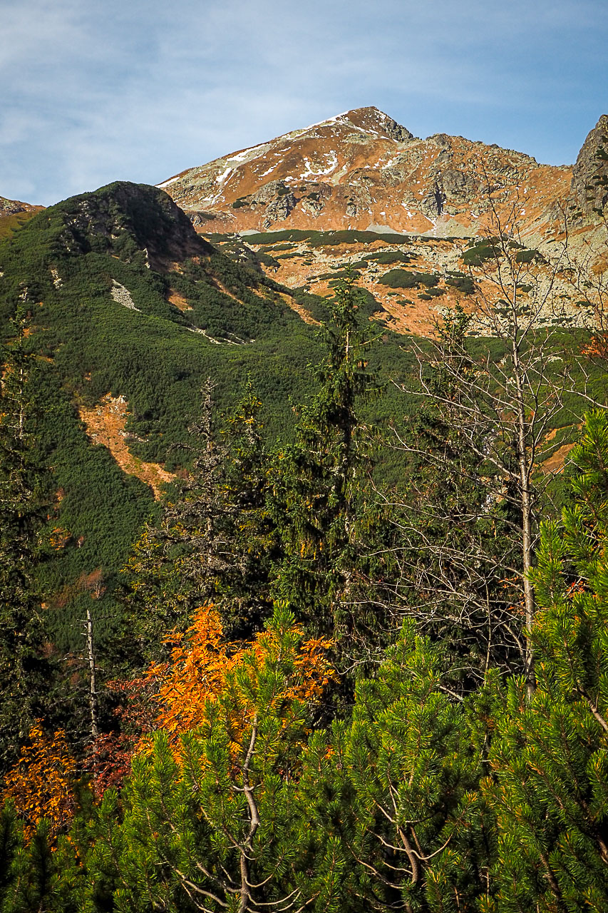 Volovec z Račkovej doliny, ATC (Západné Tatry)