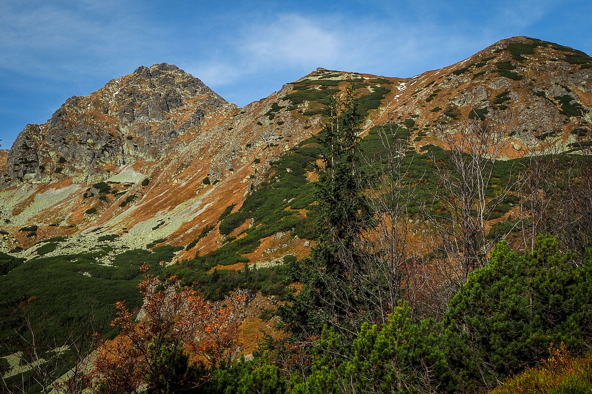 Volovec z Račkovej doliny, ATC (Západné Tatry)