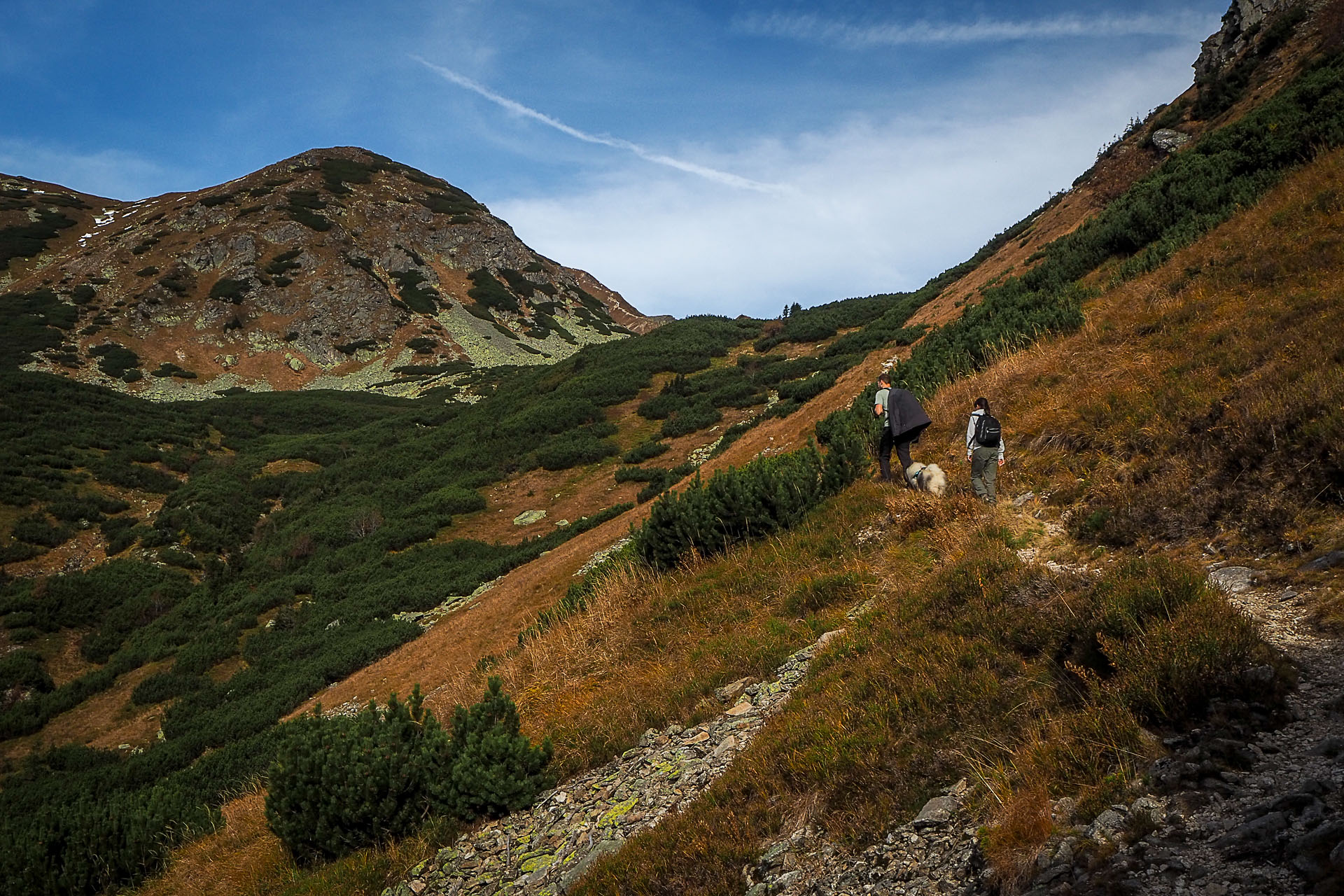 Volovec z Račkovej doliny, ATC (Západné Tatry)