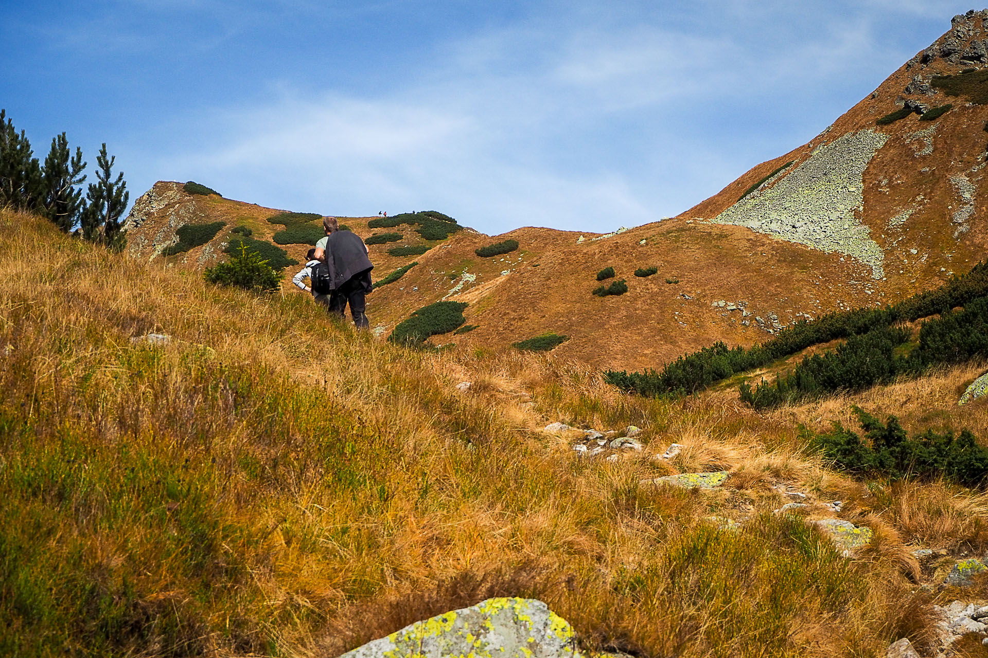 Volovec z Račkovej doliny, ATC (Západné Tatry)