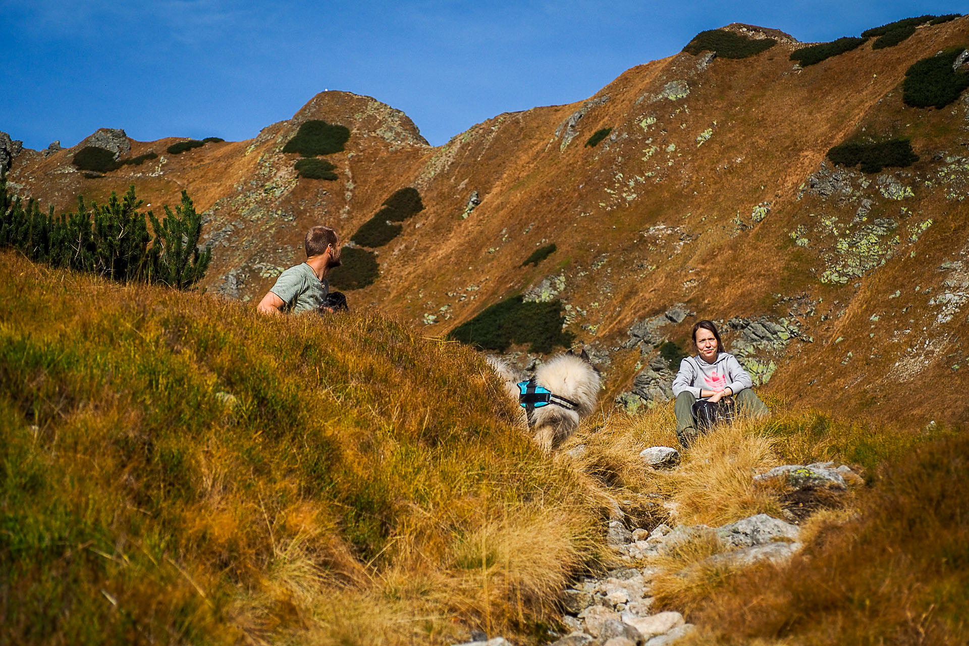 Volovec z Račkovej doliny, ATC (Západné Tatry)