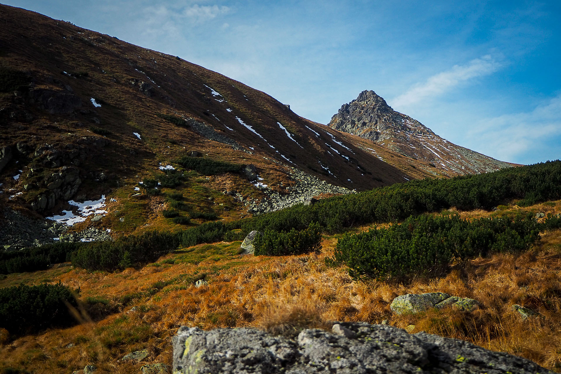 Volovec z Račkovej doliny, ATC (Západné Tatry)