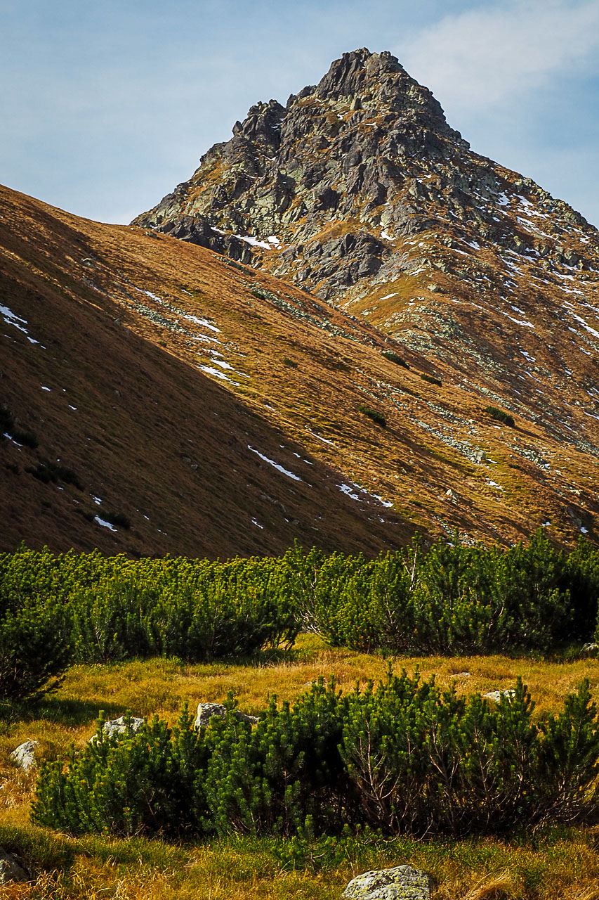 Volovec z Račkovej doliny, ATC (Západné Tatry)