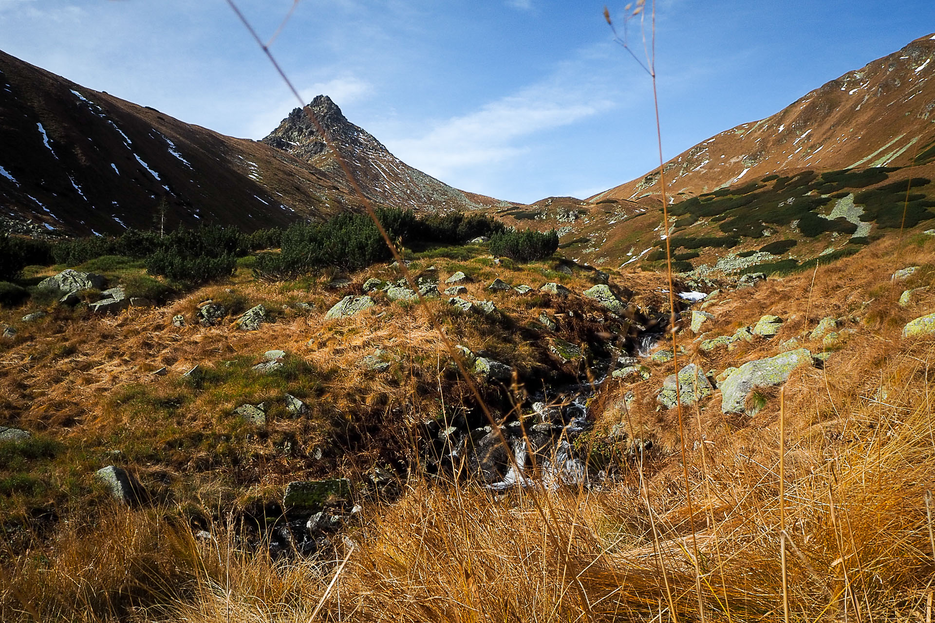 Volovec z Račkovej doliny, ATC (Západné Tatry)