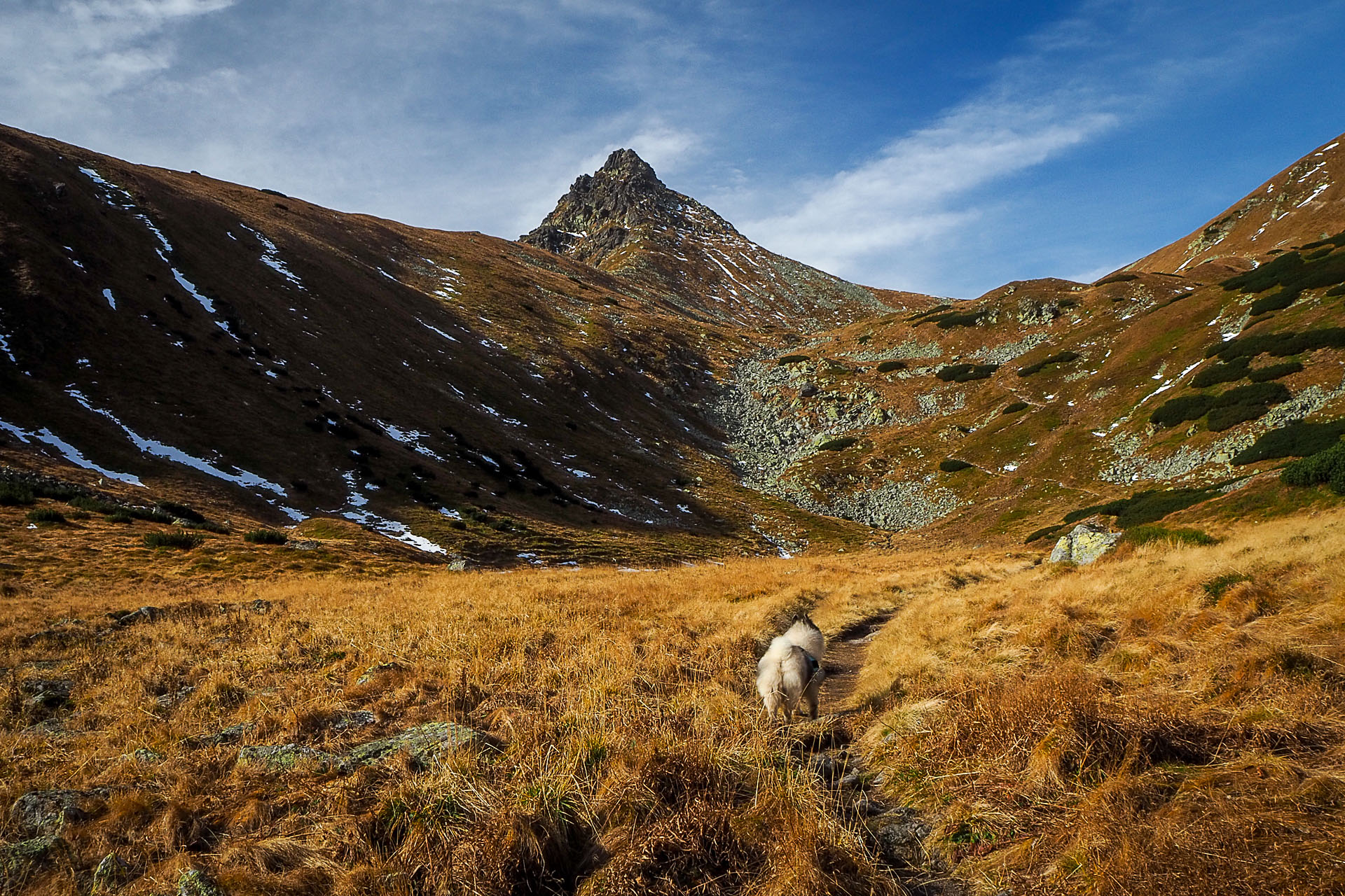 Volovec z Račkovej doliny, ATC (Západné Tatry)