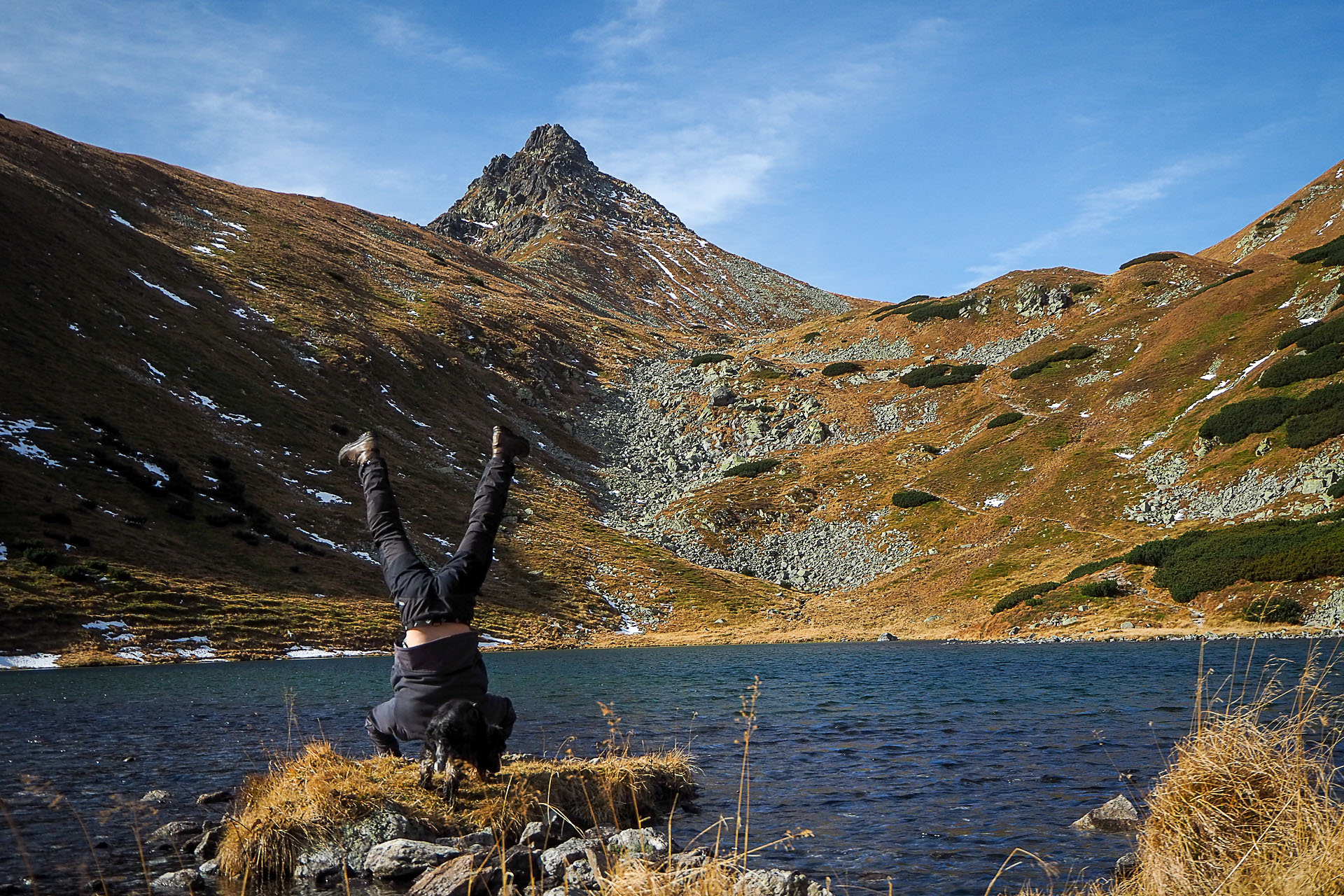 Volovec z Račkovej doliny, ATC (Západné Tatry)