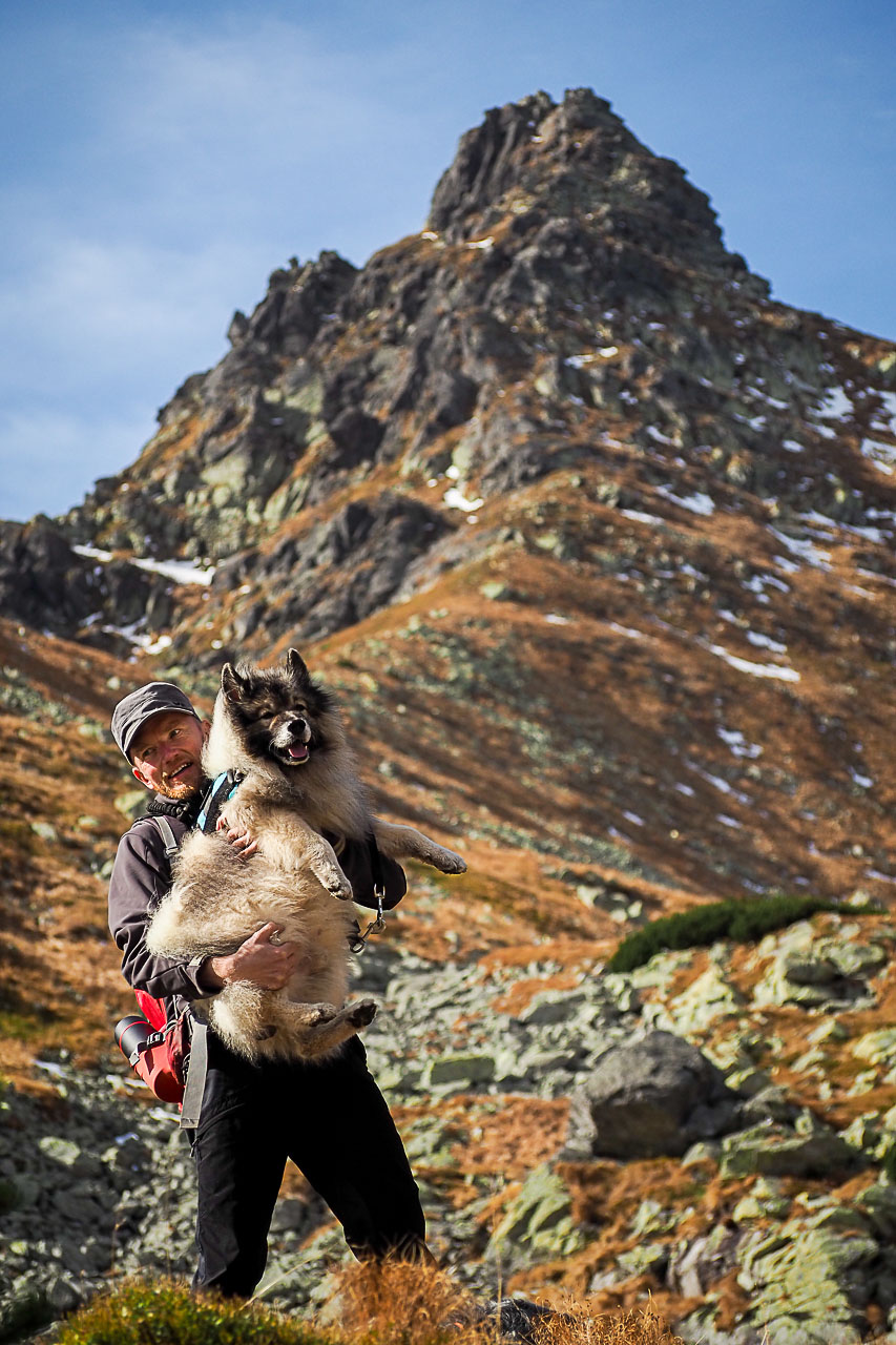 Volovec z Račkovej doliny, ATC (Západné Tatry)