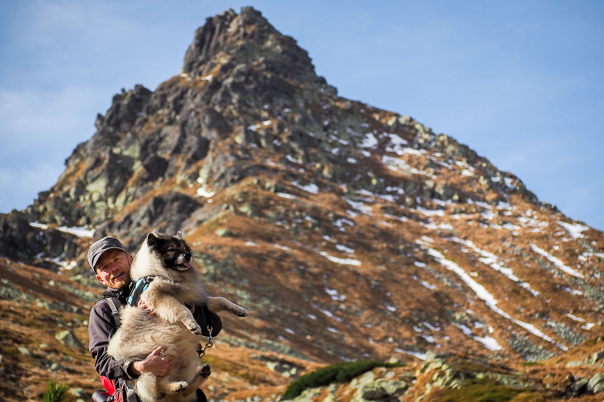 Volovec z Račkovej doliny, ATC (Západné Tatry)