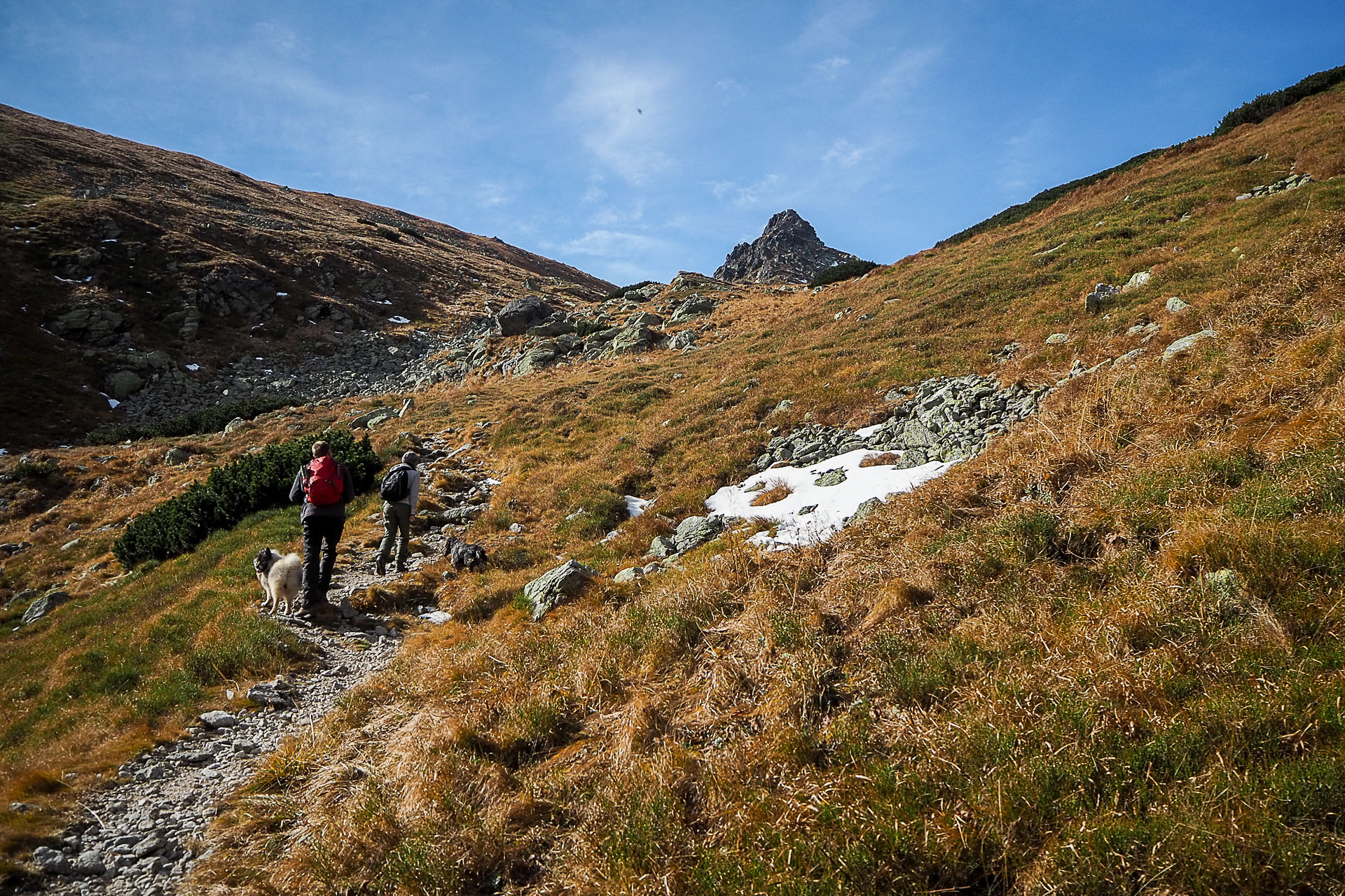 Volovec z Račkovej doliny, ATC (Západné Tatry)