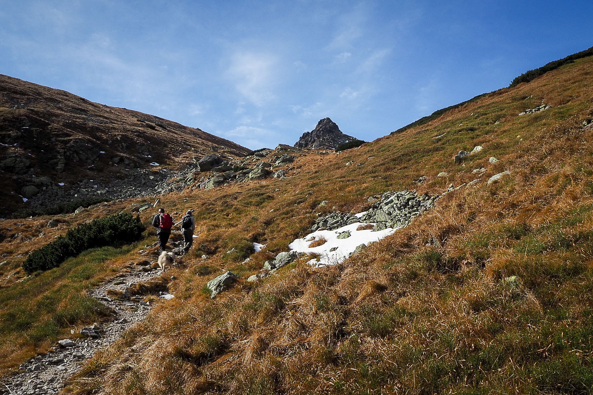 Volovec z Račkovej doliny, ATC (Západné Tatry)