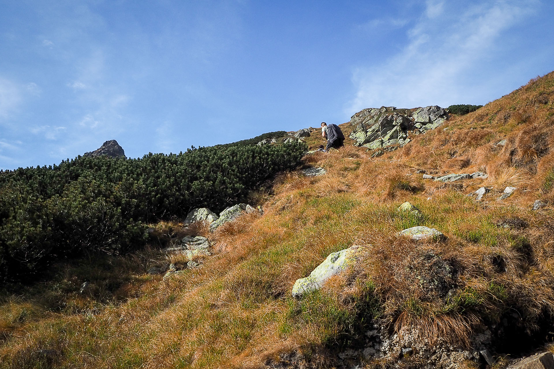 Volovec z Račkovej doliny, ATC (Západné Tatry)