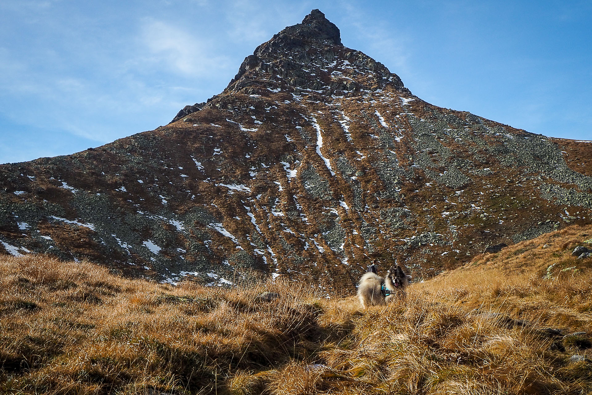 Volovec z Račkovej doliny, ATC (Západné Tatry)