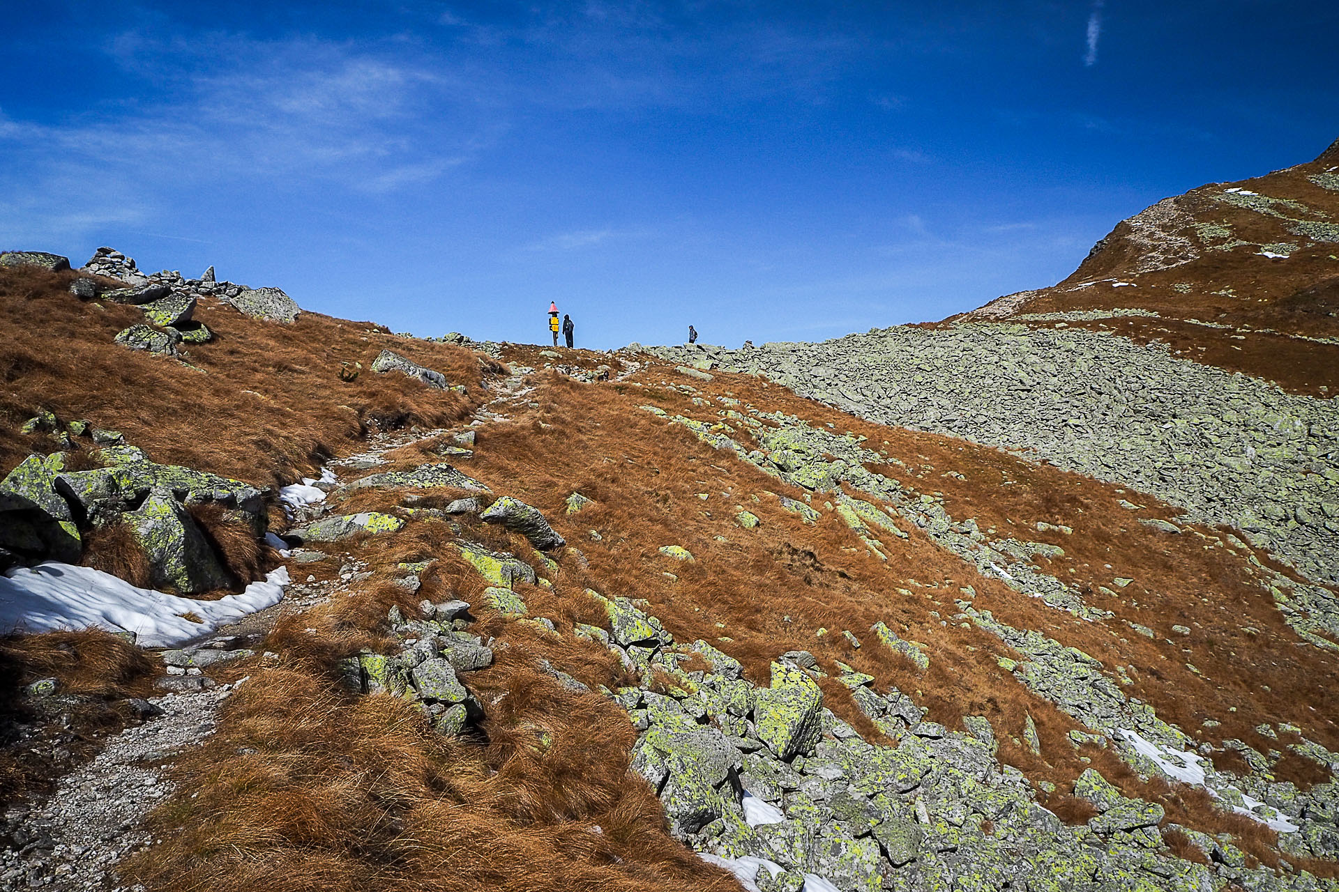 Volovec z Račkovej doliny, ATC (Západné Tatry)