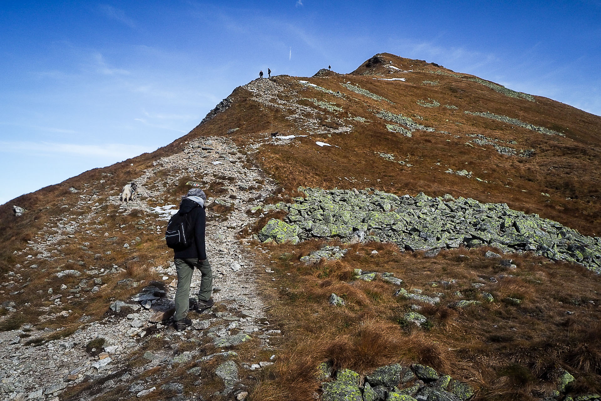 Volovec z Račkovej doliny, ATC (Západné Tatry)