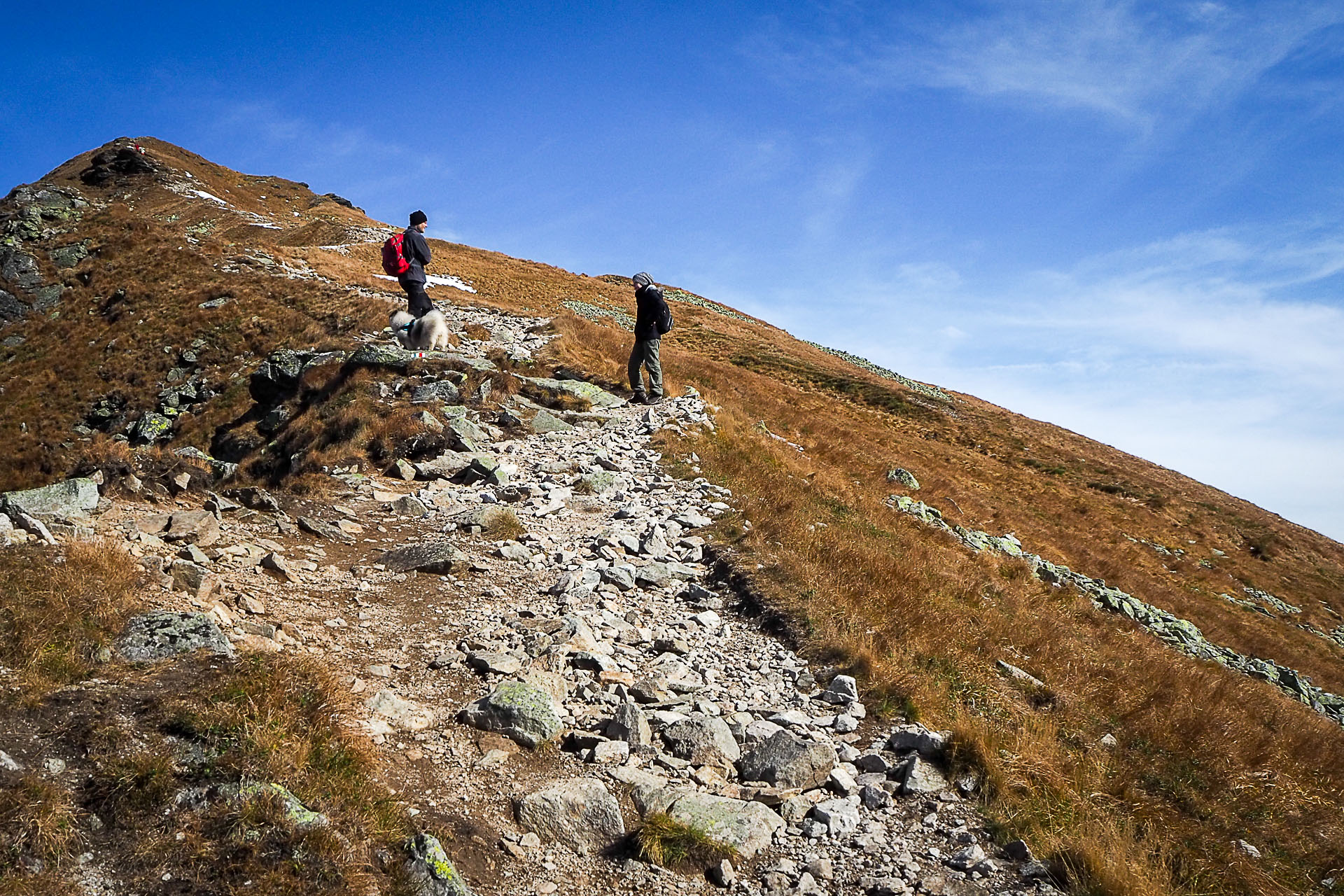 Volovec z Račkovej doliny, ATC (Západné Tatry)