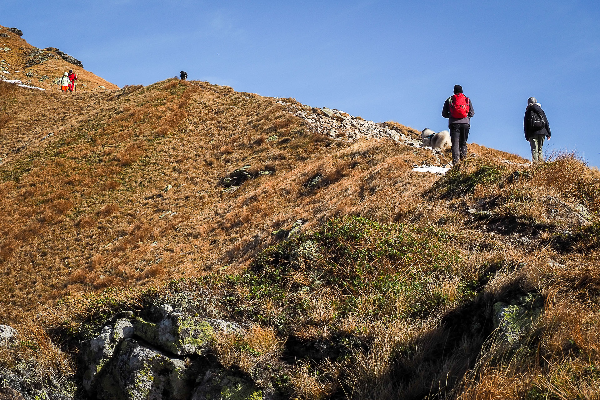 Volovec z Račkovej doliny, ATC (Západné Tatry)