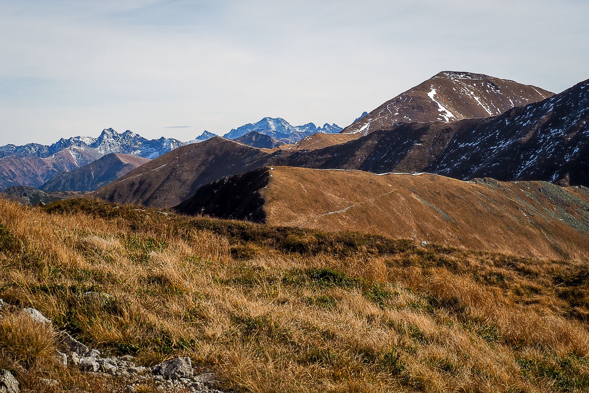 Volovec z Račkovej doliny, ATC (Západné Tatry)