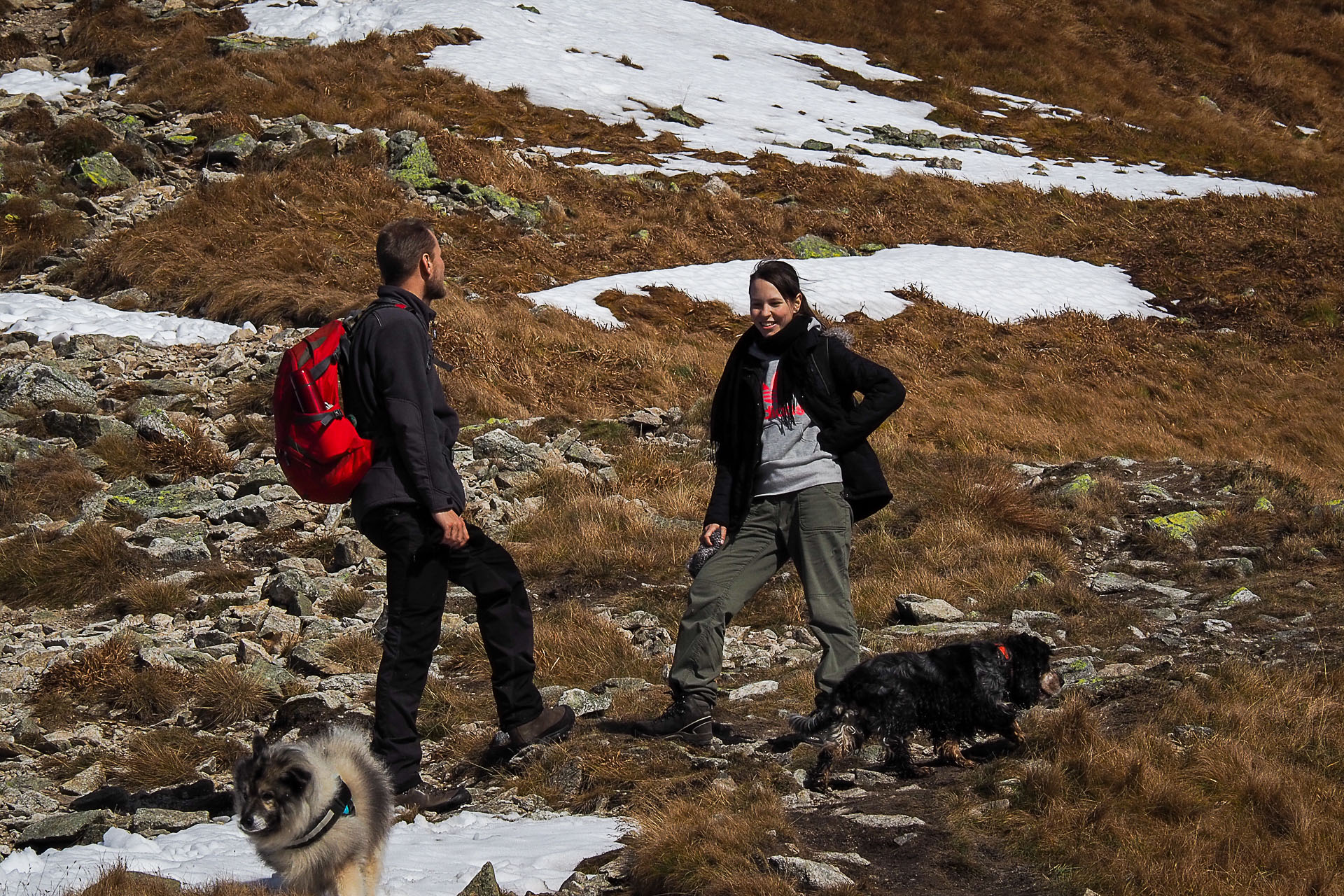 Volovec z Račkovej doliny, ATC (Západné Tatry)